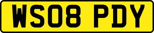 WS08PDY