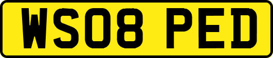 WS08PED