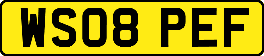 WS08PEF