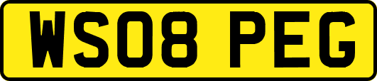 WS08PEG