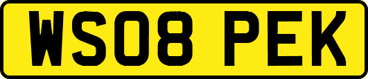 WS08PEK