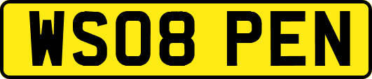 WS08PEN