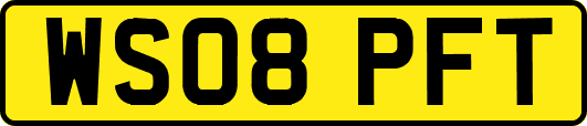 WS08PFT