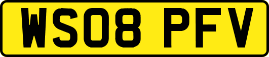 WS08PFV