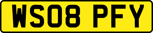 WS08PFY