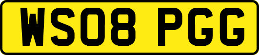 WS08PGG