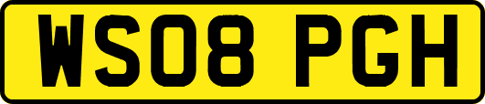 WS08PGH