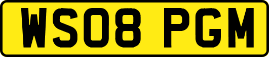 WS08PGM