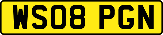 WS08PGN