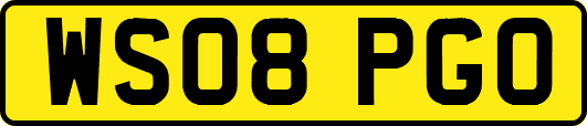 WS08PGO