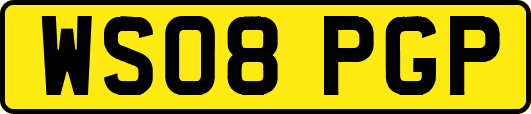 WS08PGP