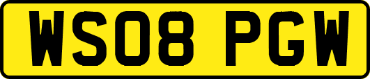 WS08PGW
