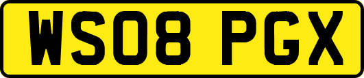 WS08PGX