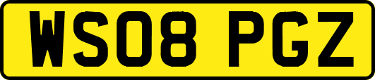 WS08PGZ