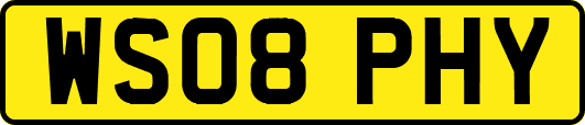 WS08PHY