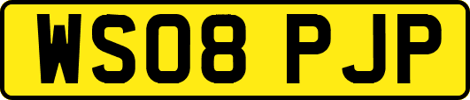 WS08PJP
