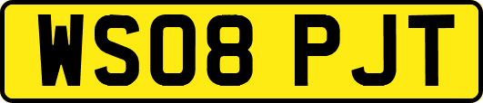 WS08PJT
