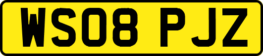 WS08PJZ