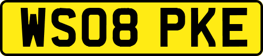 WS08PKE