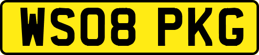 WS08PKG