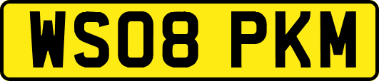 WS08PKM