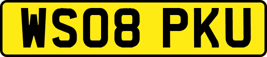 WS08PKU
