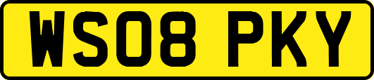 WS08PKY