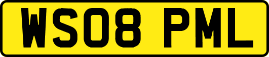 WS08PML