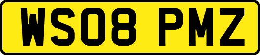 WS08PMZ