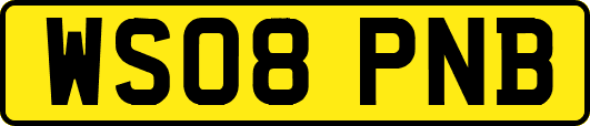 WS08PNB