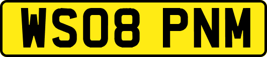 WS08PNM