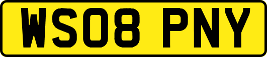 WS08PNY