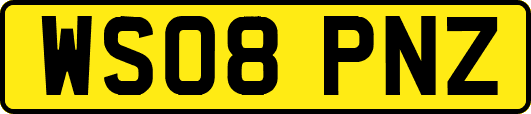 WS08PNZ