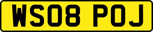 WS08POJ