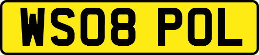 WS08POL