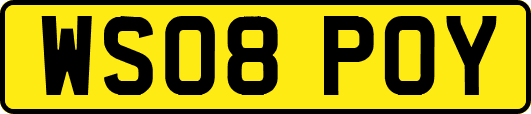 WS08POY