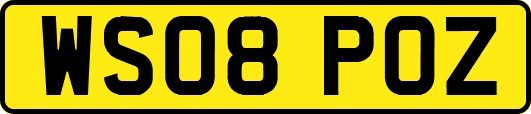 WS08POZ