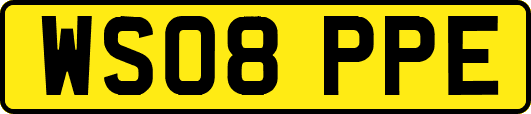 WS08PPE