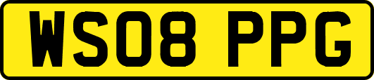 WS08PPG