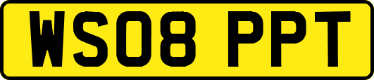 WS08PPT