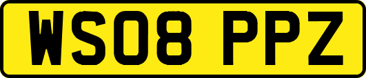 WS08PPZ