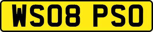 WS08PSO