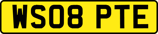WS08PTE