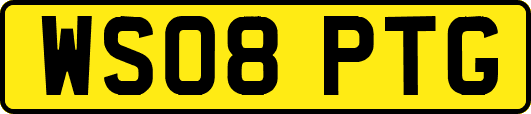 WS08PTG