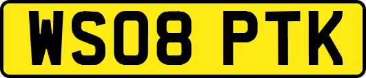 WS08PTK