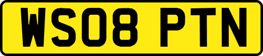 WS08PTN