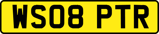 WS08PTR