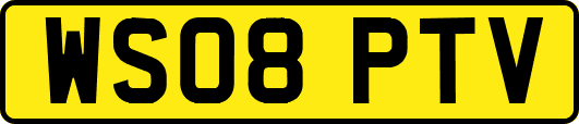 WS08PTV