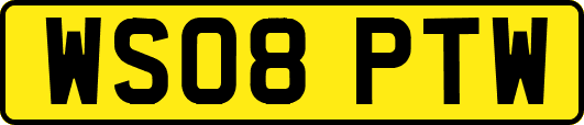 WS08PTW