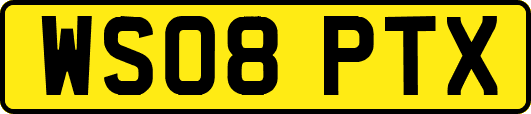 WS08PTX